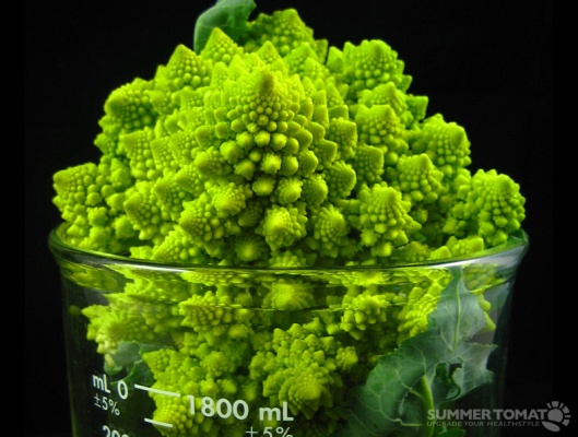 summertomato_broccoli